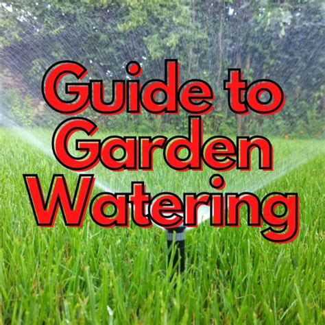 The Ultimate Guide To Best Garden Watering 2023 1