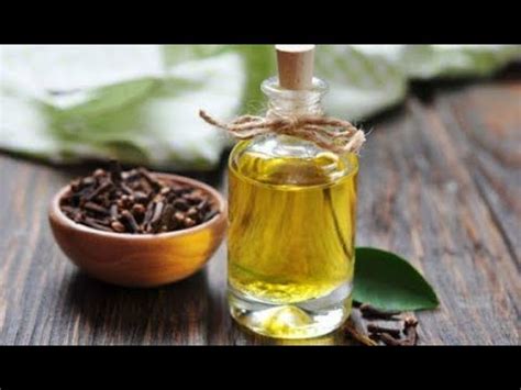 Clove oil is extracted from the leaves, stem, and buds of the clove tree by steam distillation. how to make clove oil for hair, skin and healthy living ...