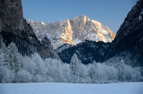 Free Images Tree Nature Snow Cold Winter Mountain Range