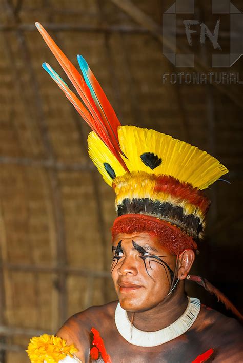 Retrato De índio Kalapalo Pintado E Com Tucanap Cocar Para Festa Do Kuarup Na Aldeia Aiha No