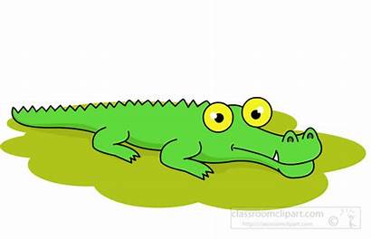 Crocodile Clipart Alligator Eyes Yellow Cliparts Animal