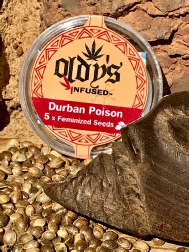 Durban Poison Oldys Infused