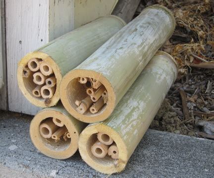 With my mind full of ideas, i enlisted the help of my husband and some power tools. How to Make a Native Bee Nesting Box | Root Simple