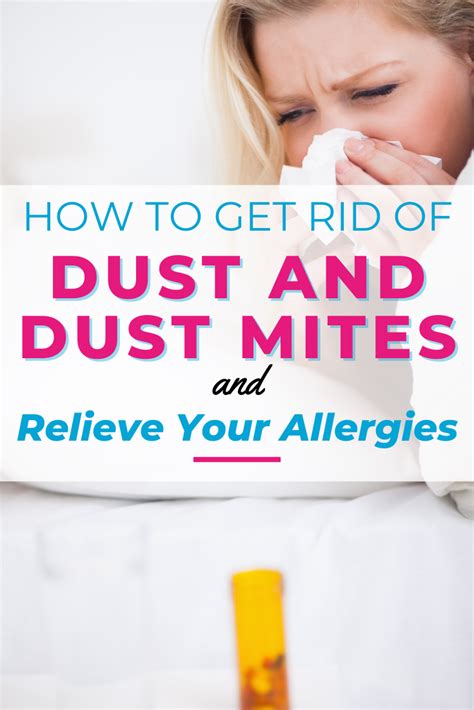 How To Get Rid Of Dust Mites 10 Things You Need To Know