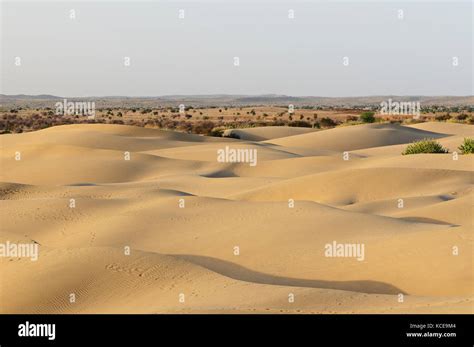 Thar Desert In India Sand Dunes Rajasthan Stock Photo Alamy