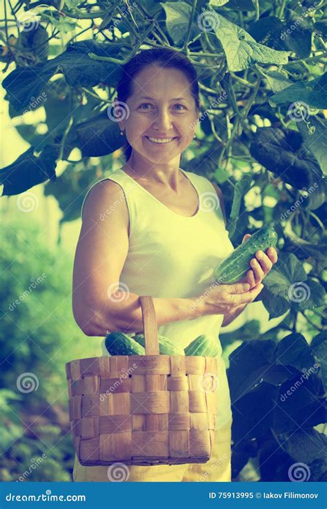 happy woman with harvested cucumbers stock image image of natural mature 75913995