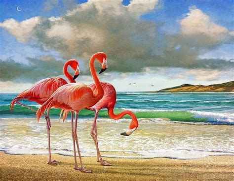 Flamingo Beach Birds Sky Clouds Sea Painting Hd Wallpaper Peakpx