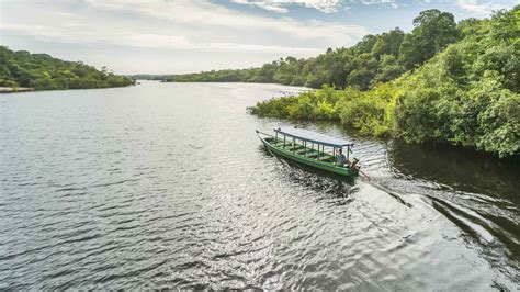 Rio Negro Amazonas Croisières Et Visites En Bateau 2021 Les