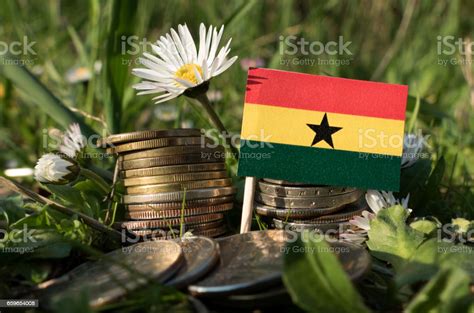 Ghanaian Flag With Stack Of Money Coins With Grass And Flowers Stock