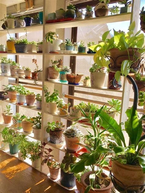 34 The Best Indoor Garden Ideas To Beautify Your Home | Indoor zen garden, Indoor garden, Indoor ...
