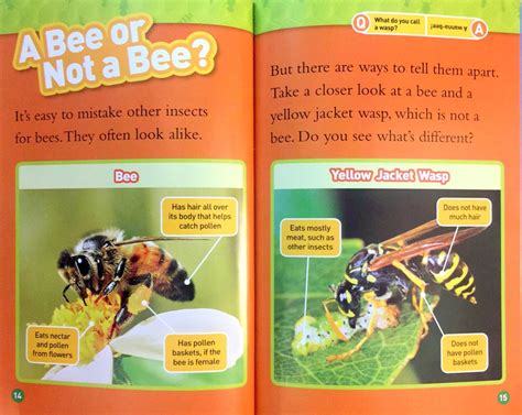 National Geographic Kids Readers Level2 Bees 小花生