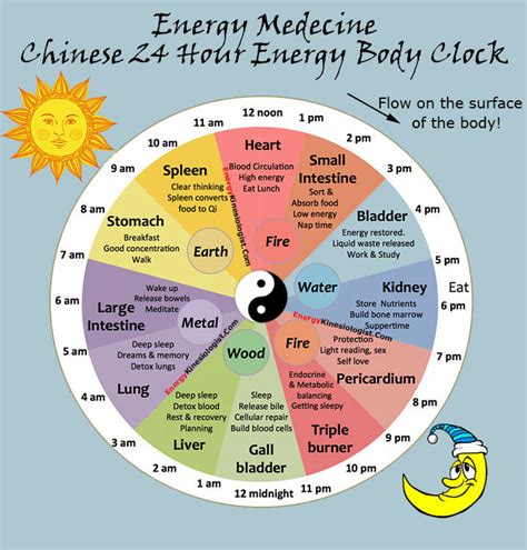 Human Body Energy Clock Chart