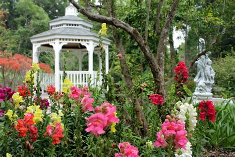 Visit Gainesvilles Kanapaha Botanical Gardens Youll Be Surprised