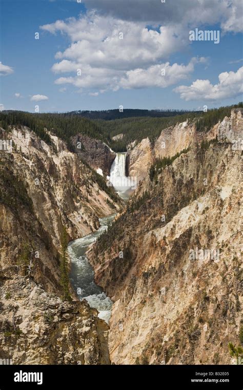 Lower Yellowstone Falls Drops Into The Grand Canyon Of The Yellowstone