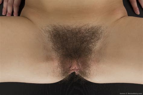 Gentle Striptease Girl Anissa The Hairy Lady Blog