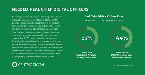 Guide to chief financial officer job description (cfo). Despite CDO Skills Required, Companies Still Turn to ...