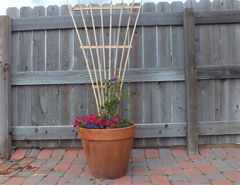 How to Build a Trellis From Two Fence Boards | Brian Benham's Blog