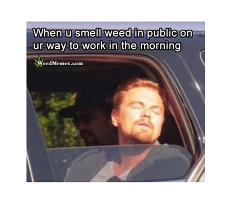 When You Smell Weed In Public Leo DiCaprio Funny Weed Memes Weed Memes