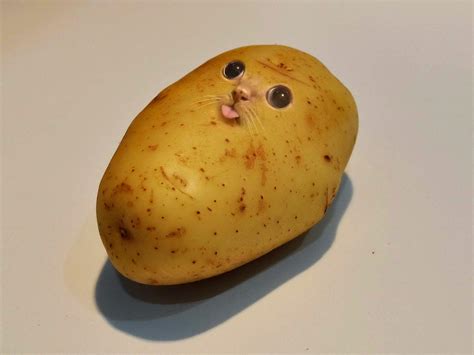 I Photoshopped A Potato Funny