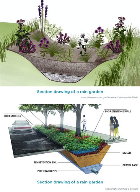 Top 3 Sustainable Landscaping Solutions