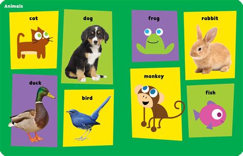 Pbs Kids 100 Words For Babies Book By The Early
