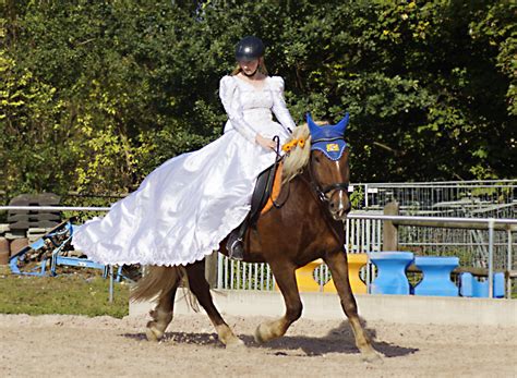 Sweepstakes community featuring a categorized, searchable directory of current online sweepstakes, contests, and giveaways. Feierlichkeiten und Auftritte