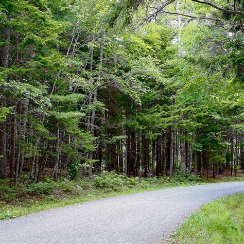 Carriage Roads Acadia National Park 2023 What To Know Before You Go