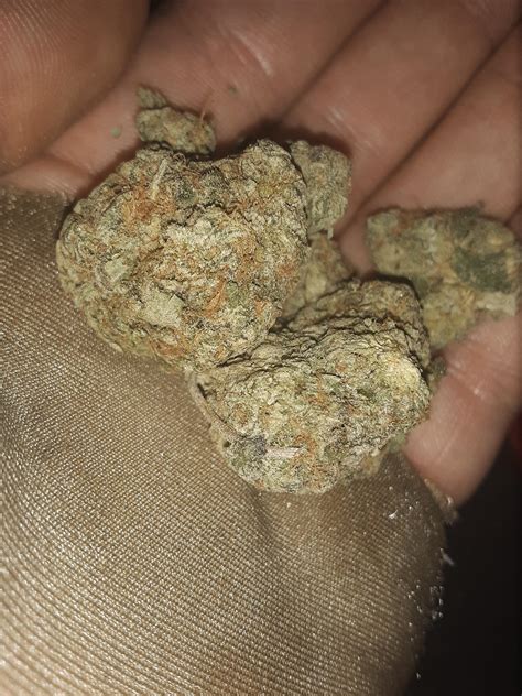 Some Beautiful Nugs May I Says 👌 👀 Rtrees