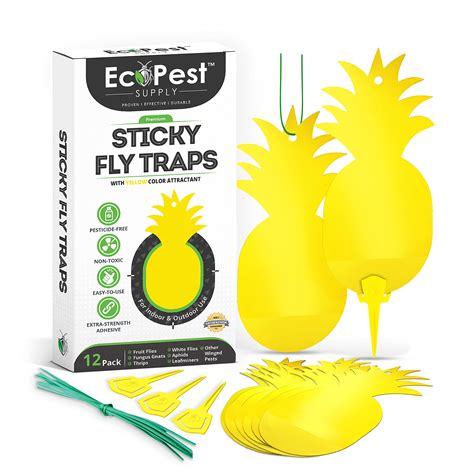 Buy Sticky Fruit Fly And Gnat Traps 12 Pack Yellow Fly Paper Trap