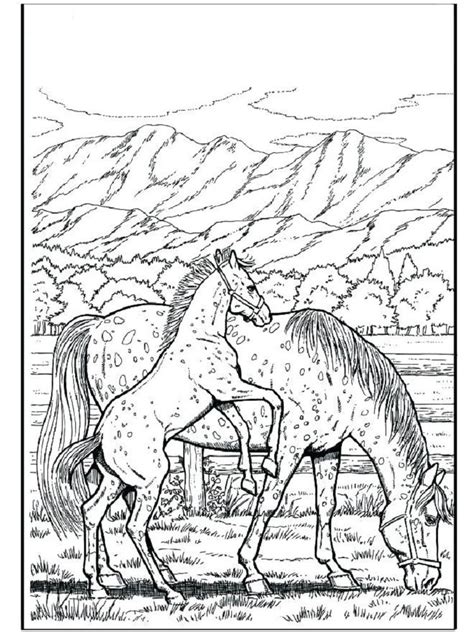 Realistic Appaloosa Horse Coloring Pages Coloring Pages