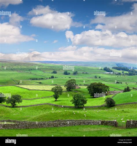 A Summer Day In Wensleydale North Yorkshire England Stock Photo Alamy