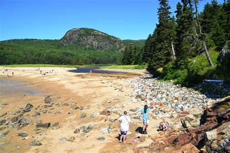 Sand Beach Acadia National Park 2020 All You Need To Know Before
