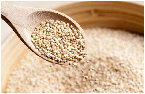 We did not find results for: Couscous vs Quinoa - Which Is Better For Weight Loss?