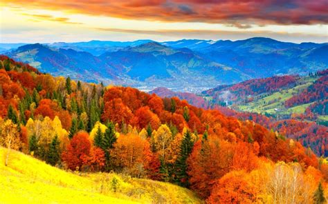 Fall Season Wallpapers Top Free Fall Season Backgrounds Wallpaperaccess