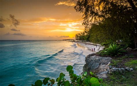 Beach Cotes In Barbados Tutor Suhu