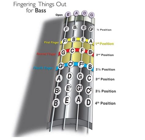 Fingering Things Out Double Bass Positions Fingerboard Contrabaixo