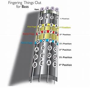  Things Out Double Bass Fingerboard Contrabaixo