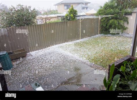 Hail Storm In Back Yard In Perth Western Australia Stock Photo Alamy