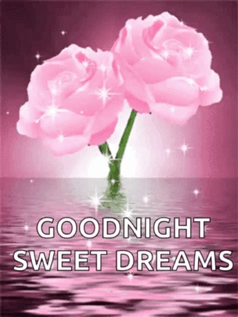 Good Night Sweet Dreams Pink Roses 