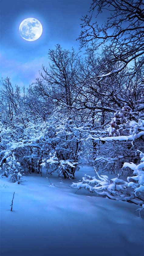 雪に包まれた月夜の森 iPhone s Plus壁紙 待受画像ギャラリー S Wallpaper Snowflake Wallpaper Iphone Wallpaper