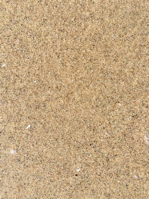 Speckled Glossy Sand Wet Beach Texture Free Textures