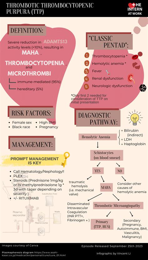 thrombotic thrombocytopenic purpura — the intern at work