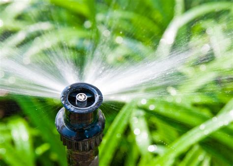 Are You Overwatering Your Lawn Lawn And Garden Irrigation