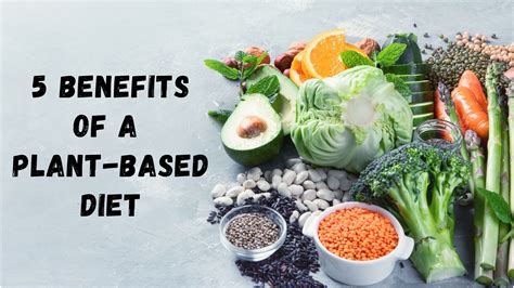 5 Benefits Of A Plant Based Diet Create Your Happy