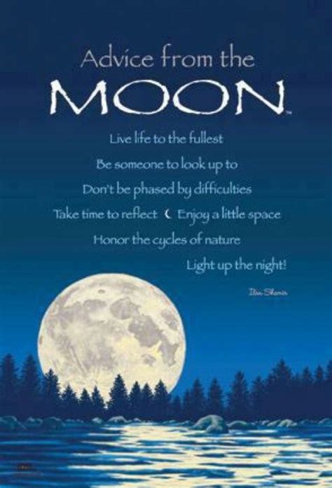 I love to think that animals and humans and plants and fishes and trees and stars and the moon are all connected. Full Moon Quotes Inspirational. QuotesGram | Good night moon, Full moon quotes