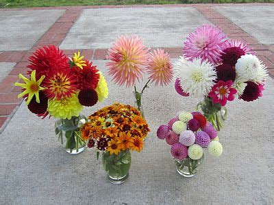 800+ vectors, stock photos & psd files. Wild Flowers (Zinnias, Dahlia Pom Poms) | Wedding flowers ...