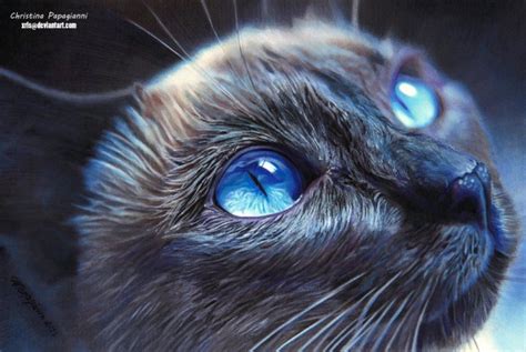 I felt like drawing a beautiful blue cat. 17 Mind Blowing and Hyper-Realistic Color Pencil Drawings ...