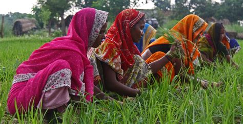 Boost For Women Farmers