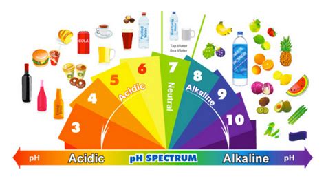 Acidity Symptoms How To Tell If Your Ph Is Too Acidic And Unhealthy