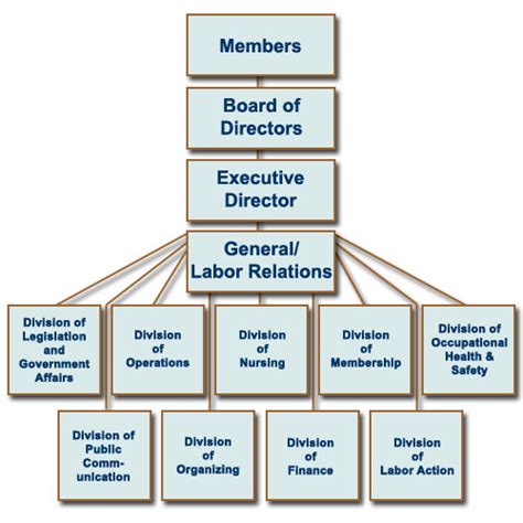 Nursing Organizational Chart For Hospitals